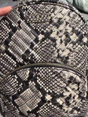 Aldo Black & White Snake-Print Quilted Backpack